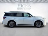 New 2025 INFINITI QX80 Sensory w/ Premium Cargo Package image 4