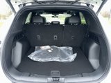 New 2025 Ford Escape ST-Line Select image 4