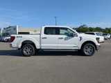 New 2025 Ford F150 XLT image 3