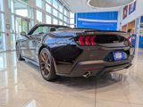 New 2025 Ford Mustang GT Premium image 5