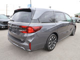 New 2025 Honda Odyssey Elite image 5