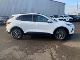 New 2025 Ford Escape SE w/ Class II Trailer Tow Package image 4