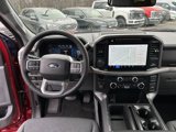New 2025 Ford F150 XLT w/ Equipment Group 302A MID image 6