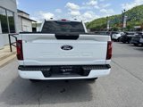 New 2025 Ford F150 STX w/ Equipment Group 200A image 6