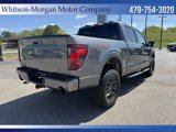 New 2025 Ford F150 Tremor image 5
