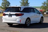 New 2025 Honda Odyssey Elite image 6