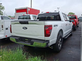 New 2025 Ford F150 XLT w/ Equipment Group 301A Standard image 4