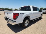 New 2024 Ford F150 XLT w/ Equipment Group 302A MID image 3