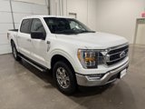 Used 2023 Ford F150 XLT w/ Equipment Group 302A High image 3