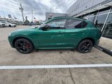 New 2025 Alfa Romeo Stelvio Tributo Italiano w/ Active Assist Plus Package image 2