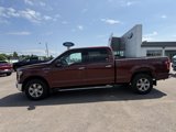 Certified 2016 Ford F150 XLT w/ Equipment Group 301A Mid image 3
