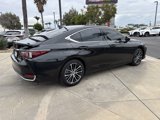 Certified 2024 Lexus ES 300h w/ Premium Package image 5