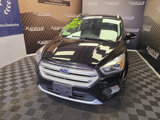Used 2019 Ford Escape Titanium image 4
