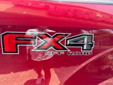 Used 2019 Ford F150 XLT w/ Equipment Group 302A Luxury image 5