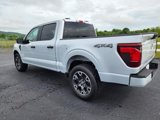New 2025 Ford F150 STX w/ Equipment Group 200A image 4