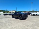 New 2025 Chevrolet Silverado 1500 Custom Trail Boss w/ Dark Appearance Package image 2