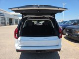 New 2025 Ford Expedition Active image 5