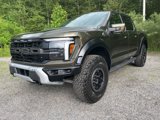 New 2025 Ford F150 Raptor image 3