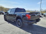New 2025 Ford F150 STX w/ STX Black Appearance Package image 3