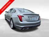 Used 2024 Cadillac CT5 Premium Luxury w/ Platinum Package image 4