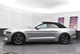 Used 2023 Ford Mustang Premium image 5