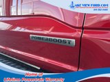 New 2025 Ford F150 XLT w/ Equipment Group 302A MID image 3