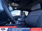 New 2025 Ford F150 XLT w/ Equipment Group 302A MID image 4