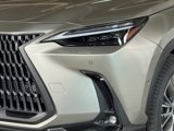 New 2026 Lexus NX 350 AWD w/ Luxury Package image 4