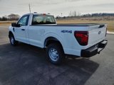 New 2025 Ford F150 XL image 4