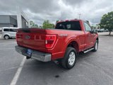 Used 2023 Ford F150 XLT w/ Equipment Group 301A Mid image 3
