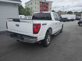 Used 2024 Ford F150 XLT image 6
