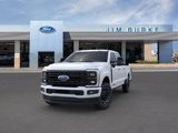 New 2025 Ford F250 Platinum image 2