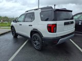 New 2026 Honda Passport RTL image 4
