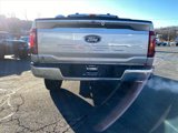 New 2025 Ford F150 XLT w/ Equipment Group 302A MID image 4