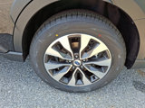 New 2025 Subaru Outback Limited image 5