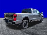 New 2025 Ford F250 Platinum image 4