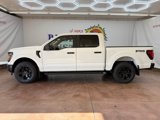 New 2025 Ford F150 STX image 2
