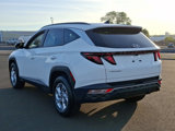 Used 2024 Hyundai Tucson SEL image 4