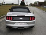 Used 2017 Ford Mustang Premium w/ Equipment Group 201A image 5
