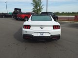New 2025 Ford Mustang Coupe image 4