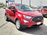 Used 2020 Ford EcoSport SE image 6