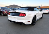 Used 2018 Ford Mustang Premium image 6