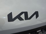 New 2025 Kia Carnival SX Prestige image 4