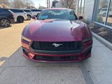 New 2025 Ford Mustang Coupe image 3