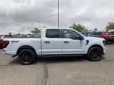 New 2025 Ford F150 STX w/ STX Black Appearance Package image 6