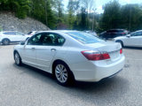 Used 2014 Honda Accord EX-L image 3