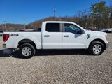 Used 2022 Ford F150 XLT image 4