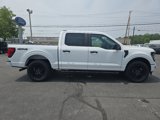 New 2025 Ford F150 STX w/ STX Black Appearance Package image 5