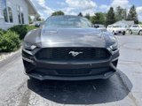 Used 2022 Ford Mustang Premium image 2
