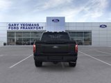 New 2025 Ford F150 Platinum image 5